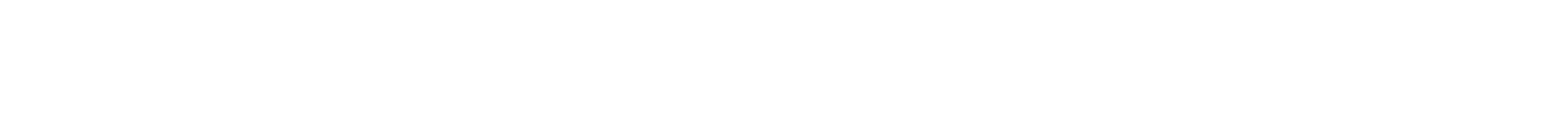 Crash Override wordmark, white on black